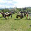 Rajd Mszana Górna 2015
